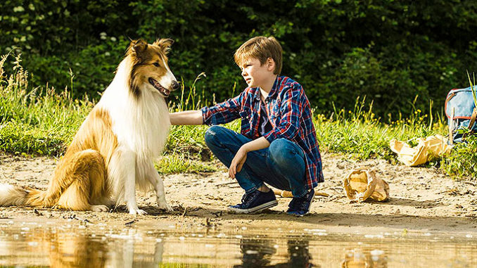 Lassie