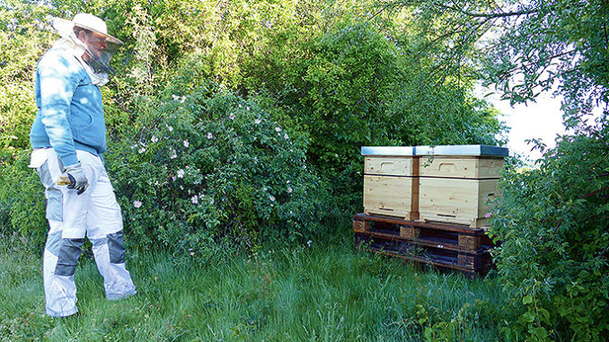Bienen-Wasserhochbehälter-(1)