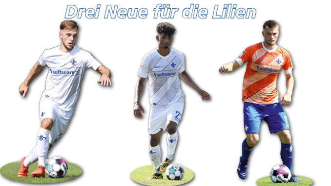 Neue_Lilien_2020