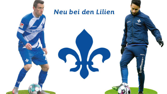 Neu-bei-den-Lilien