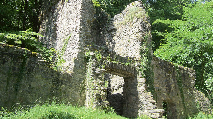Burg-Rodenstein