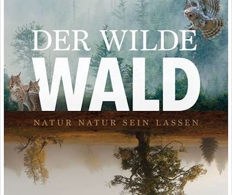 Der wilde Wald Kopie