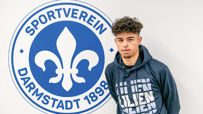 Andre-Leipold