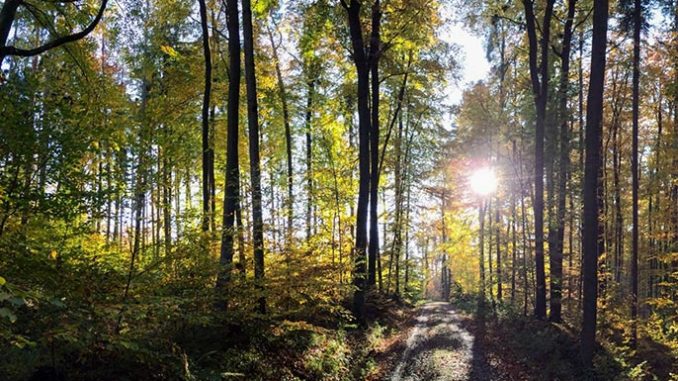 GeoNaturpark_Bernd_Doerwald-scaled