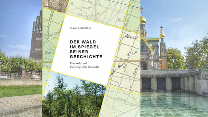 der-wald-im-spiegel-seiner-geschichte