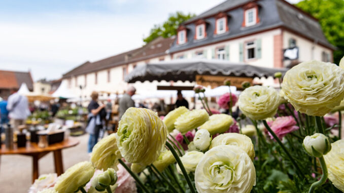 GartenfestKR22-Impressionen-Strohfeldt-(9)