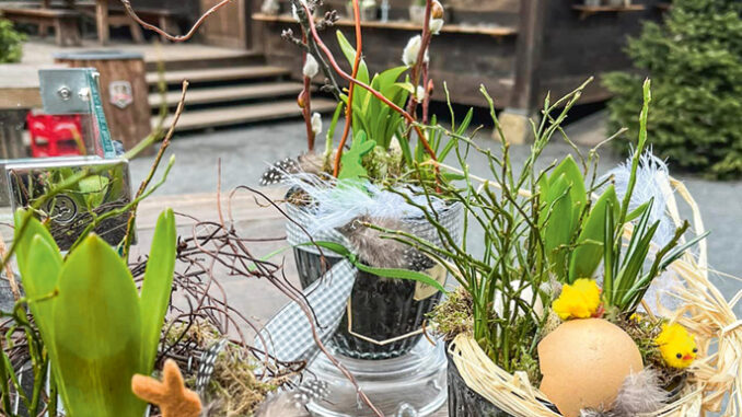 Salms-Imbiss-Fruehling2