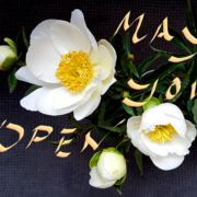 May you open