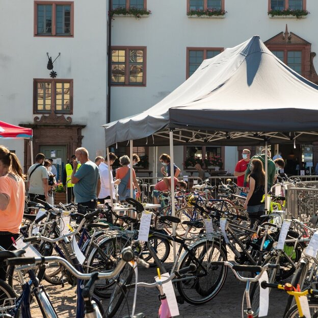 csm_DSC_5566__FullHD__e903bb1b28