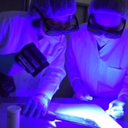 Wie bei CSI? Einblicke in die heutige Kriminaltechnik