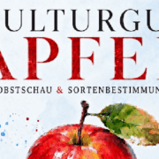 Kulturgut Apfel – Obstschau und Sortenbestimmung beim OGV Weiterstadt