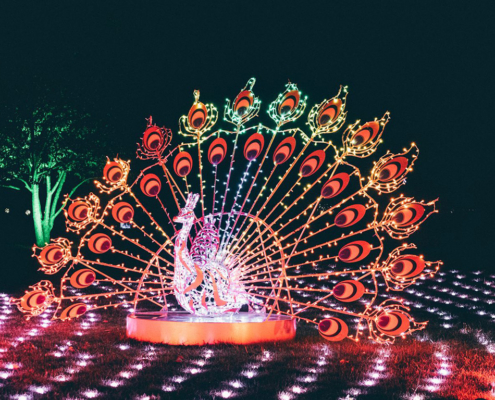 lumagica-hanau-3
