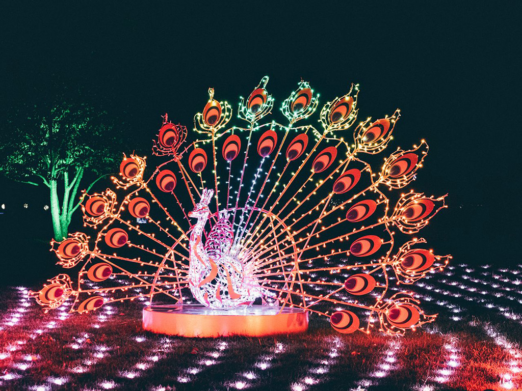 lumagica-hanau-3