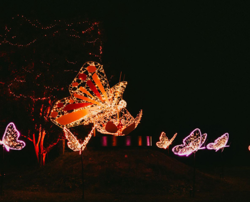 lumagica-hanau-6